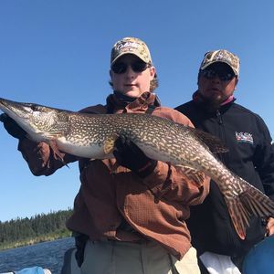 Meet your Posher, Ben